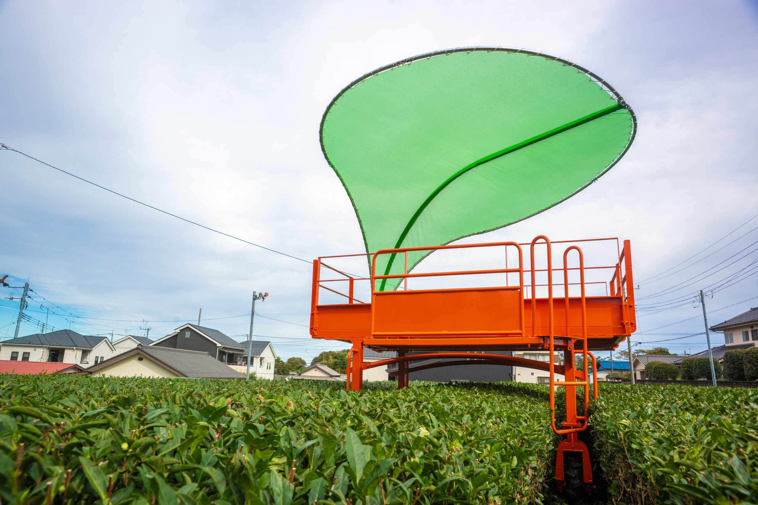 茶畑のちゃぶ台